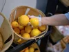 Лендри предупреждает, что Луизиана не будет выдавать пособия SNAP в ноябре, еслиShutdown Продолжится