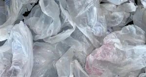 Попытка запрета пластиковых пакетов в Нью-Гэмпшире буксует по партийной линии